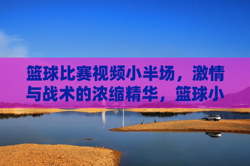 篮球比赛视频小半场,激情与战术的浓缩精华,篮球小半场,激情与战术的浓缩精华