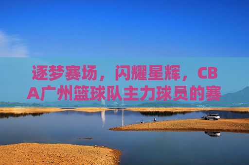 逐梦赛场，闪耀星辉，CBA广州篮球队主力球员的赛场风采与团队贡献，逐梦赛场，闪耀星辉，CBA广州篮球队主力球员的赛场风采与团队贡献