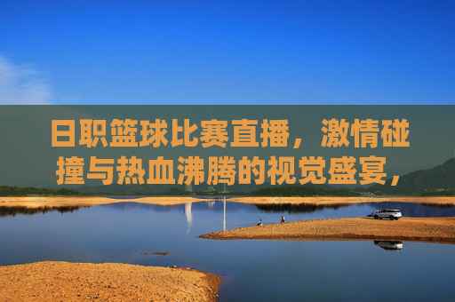日职篮球比赛直播，激情碰撞与热血沸腾的视觉盛宴，日职篮球直播，激情碰撞与热血沸腾的视觉盛宴
