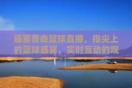 康塞普森篮球直播,指尖上的篮球盛宴,实时互动的观赛新体验,康塞普森篮球直播,指尖上的篮球盛宴,实时互动的观赛新体验