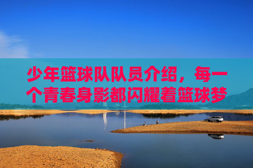少年篮球队队员介绍,每一个青春身影都闪耀着篮球梦想的光芒,少年篮球队队员介绍,每一个青春身影都闪耀着篮球梦想的光芒