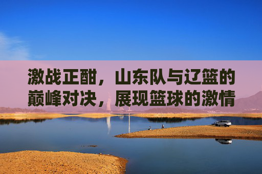 激战正酣，山东队与辽篮的巅峰对决，展现篮球的激情与竞技魅力，激战正酣，山东队与辽篮巅峰对决，展现篮球的激情与竞技魅力