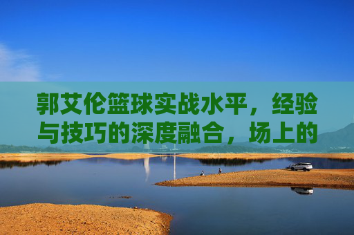 郭艾伦篮球实战水平，经验与技巧的深度融合，场上的核心驱动力量，郭艾伦，篮球实战中经验与技巧的深度融合，场上的核心驱动力量