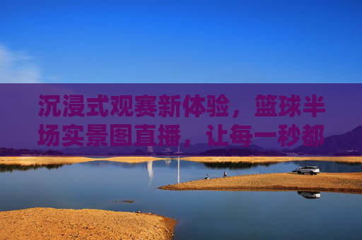 沉浸式观赛新体验，篮球半场实景图直播，让每一秒都触手可及，沉浸式观赛新体验，篮球半场实景图直播，让每一秒都触手可及