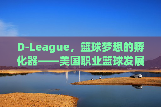 D-League,篮球梦想的孵化器——美国职业篮球发展联盟的崛起与深远影响,D-League,篮球梦想的孵化器——美国职业篮球发展联盟的崛起与深远影响