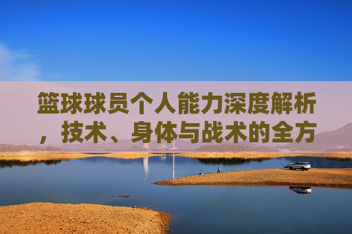 篮球球员个人能力深度解析,技术、身体与战术的全方位能力展示,篮球球员个人能力深度解析,技术、身体与战术的全方位能力展示