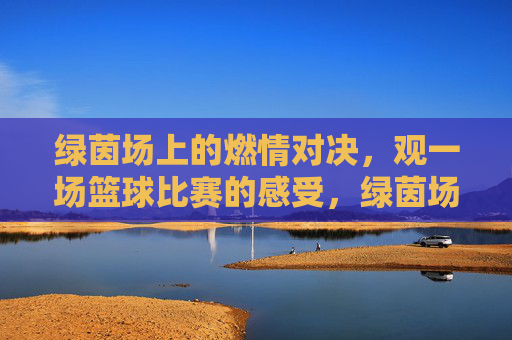 绿茵场上的燃情对决，观一场篮球比赛的感受，绿茵场上的燃情篮球对决，观一场比赛的感受