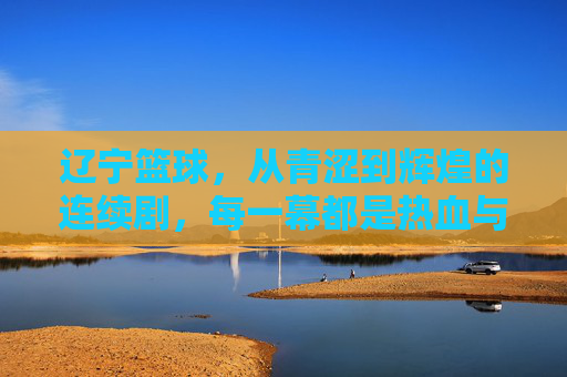 辽宁篮球，从青涩到辉煌的连续剧，每一幕都是热血与坚持的注脚