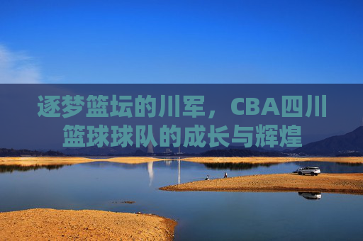 逐梦篮坛的川军,CBA四川篮球球队的成长与辉煌