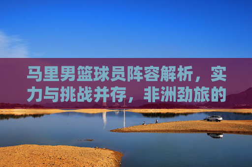 马里男篮球员阵容解析,实力与挑战并存,非洲劲旅的青春力量与战术深度