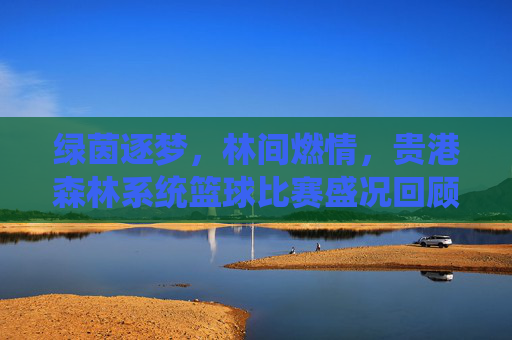 绿茵逐梦,林间燃情,贵港森林系统篮球比赛盛况回顾