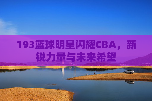 193篮球明星闪耀CBA,新锐力量与未来希望