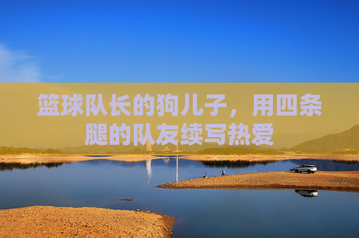 篮球队长的狗儿子,用四条腿的队友续写热爱