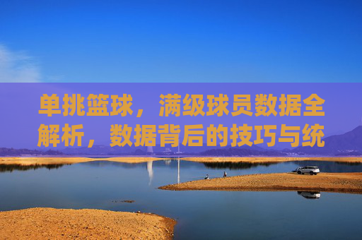 单挑篮球,满级球员数据全解析,数据背后的技巧与统治力巅峰,单挑篮球满级球员数据全解析,技巧与统治力巅峰