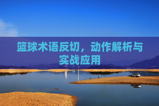 篮球术语反切,动作解析与实战应用