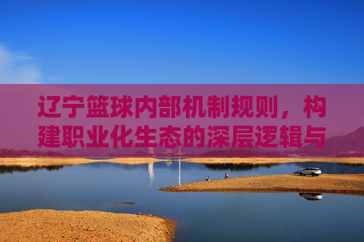 辽宁篮球内部机制规则,构建职业化生态的深层逻辑与运行体系