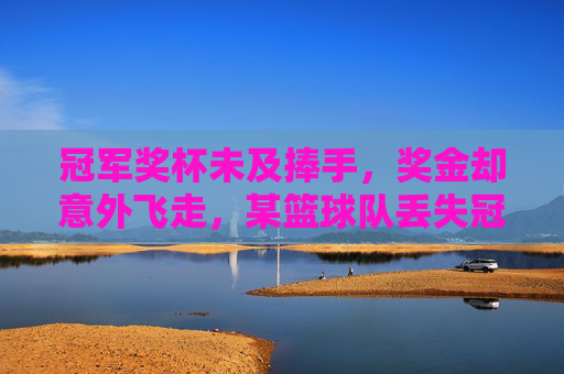 冠军奖杯未及捧手，奖金却意外飞走，某篮球队丢失冠军奖金的遗憾与反思，冠军奖杯未及捧手，奖金意外飞走，某篮球队丢失冠军奖金的遗憾与反思