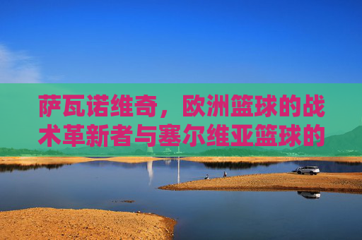 萨瓦诺维奇,欧洲篮球的战术革新者与塞尔维亚篮球的传承者——从联赛赛场到欧战舞台的篮球智慧,萨瓦诺维奇,欧洲篮球战术革新者与塞尔维亚篮球传承者——从联赛赛场到欧战舞台的篮球智慧