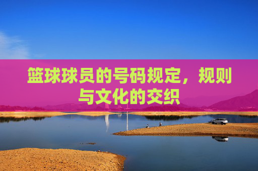 篮球球员的号码规定,规则与文化的交织