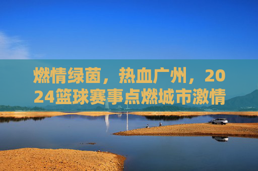 燃情绿茵,热血广州,2024篮球赛事点燃城市激情