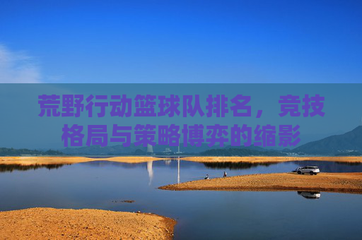 荒野行动篮球队排名,竞技格局与策略博弈的缩影