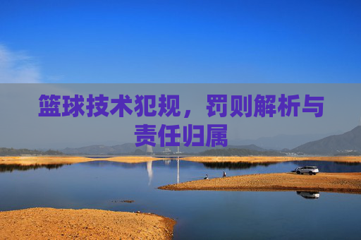 篮球技术犯规，罚则解析与责任归属