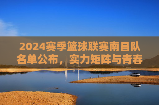 2024赛季篮球联赛南昌队名单公布，实力矩阵与青春活力，为城市篮球再添精彩