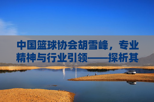 中国篮球协会胡雪峰,专业精神与行业引领——探析其在篮球事业发展中的核心作用与未来展望