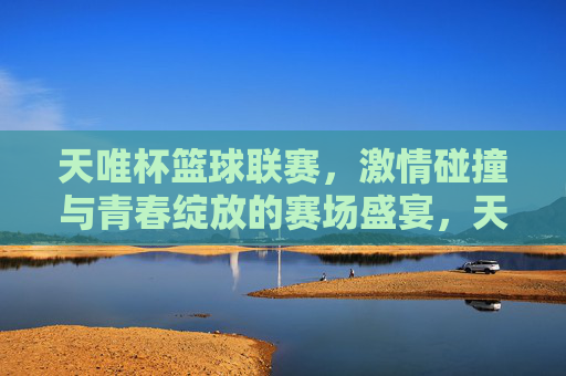 天唯杯篮球联赛，激情碰撞与青春绽放的赛场盛宴，天唯杯篮球联赛，激情碰撞与青春绽放的赛场盛宴