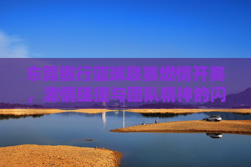 东莞银行篮球联赛燃情开赛,激情碰撞与团队精神的闪耀时刻,东莞银行篮球联赛燃情开赛,激情碰撞与团队精神的闪耀时刻