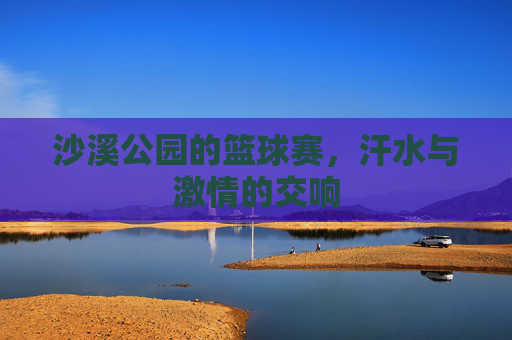 沙溪公园的篮球赛,汗水与激情的交响
