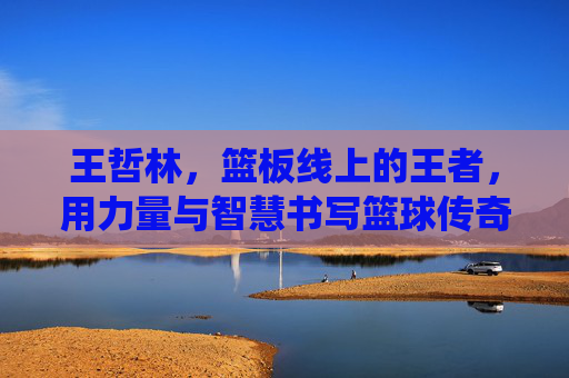 王哲林，篮板线上的王者，用力量与智慧书写篮球传奇——论其统治级篮板能力对球队的影响与个人成长