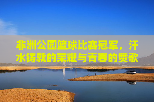 非洲公园篮球比赛冠军，汗水铸就的荣耀与青春的赞歌