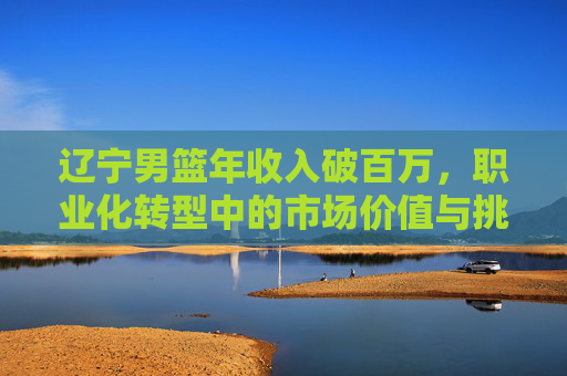 辽宁男篮年收入破百万，职业化转型中的市场价值与挑战