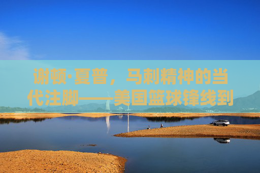 谢顿·夏普,马刺精神的当代注脚——美国篮球锋线到内线的蜕变与传承
