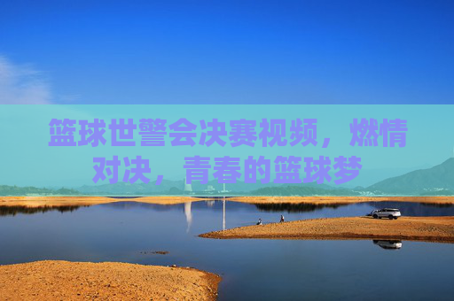 篮球世警会决赛视频,燃情对决,青春的篮球梦