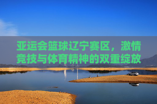 亚运会篮球辽宁赛区,激情竞技与体育精神的双重绽放