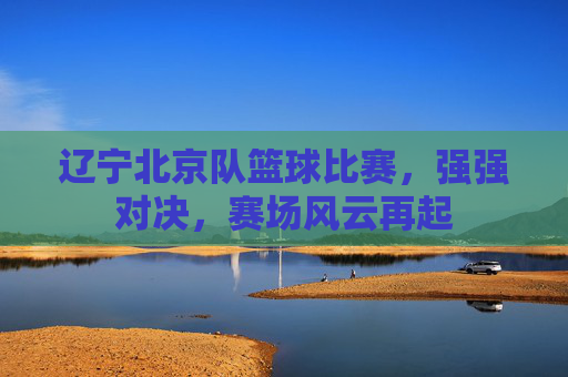 辽宁北京队篮球比赛,强强对决,赛场风云再起