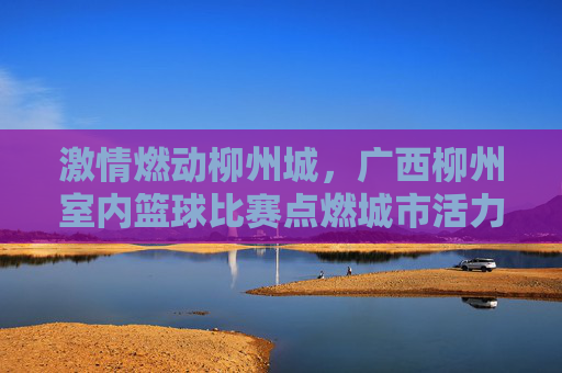 激情燃动柳州城,广西柳州室内篮球比赛点燃城市活力