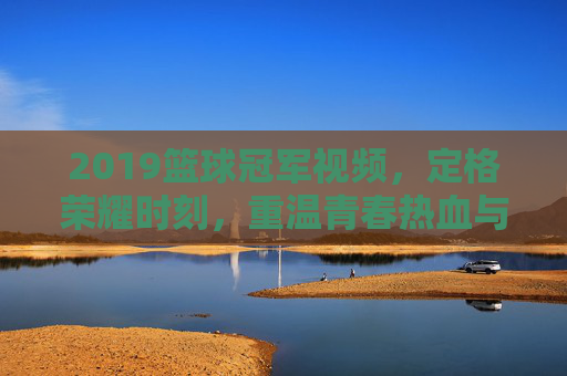 2019篮球冠军视频，定格荣耀时刻，重温青春热血与团队荣耀，2019篮球冠军视频，定格荣耀时刻，重温青春热血与团队荣耀