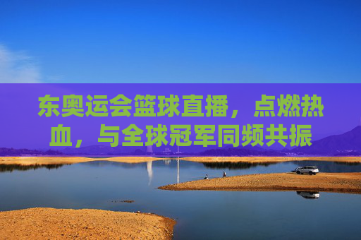 东奥运会篮球直播,点燃热血,与全球冠军同频共振