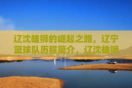 辽沈雄狮的崛起之路，辽宁篮球队历程简介，辽沈雄狮的崛起之路，辽宁篮球队历程简介