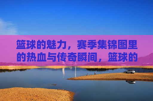 篮球的魅力,赛季集锦图里的热血与传奇瞬间,篮球的魅力,赛季集锦图里的热血与传奇瞬间