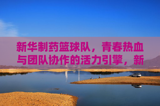 新华制药篮球队，青春热血与团队协作的活力引擎，新华制药篮球队，青春热血与团队协作的活力引擎