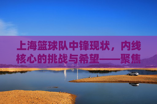 上海篮球队中锋现状,内线核心的挑战与希望——聚焦球队现役中锋的表现与角色