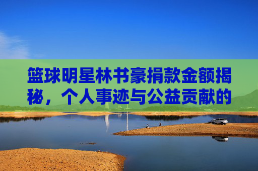 篮球明星林书豪捐款金额揭秘,个人事迹与公益贡献的深度解析