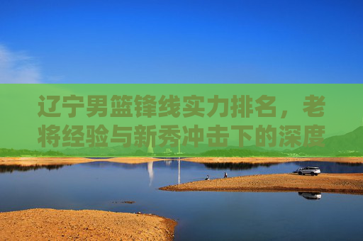 辽宁男篮锋线实力排名,老将经验与新秀冲击下的深度剖析与未来展望