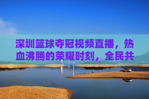 深圳篮球夺冠视频直播，热血沸腾的荣耀时刻，全民共享的体育盛宴，深圳篮球夺冠视频直播，热血沸腾的荣耀时刻，全民共享的体育盛宴
