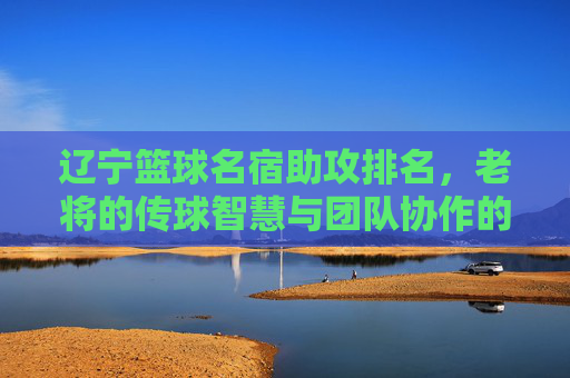 辽宁篮球名宿助攻排名,老将的传球智慧与团队协作的传承