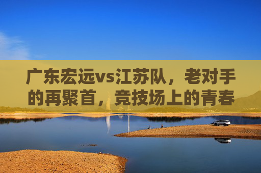 广东宏远vs江苏队，老对手的再聚首，竞技场上的青春碰撞与经验沉淀